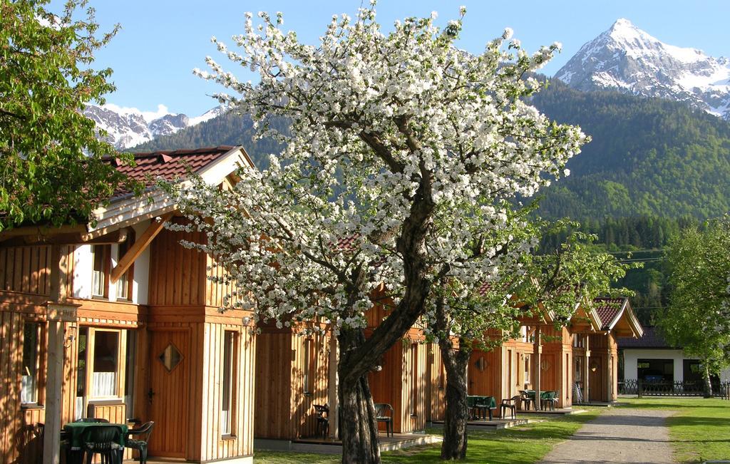 Alpencamp Kaernten Kotschach-Mauthen Стая снимка